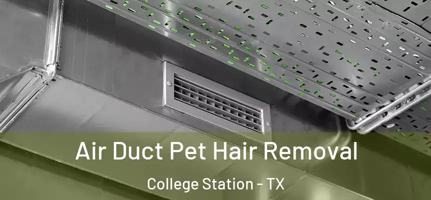 Air Duct Pet Hair Removal College Station - TX