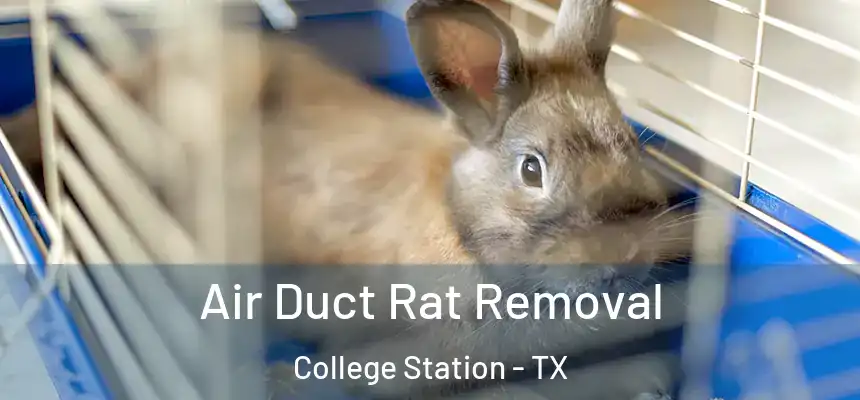 Air Duct Rat Removal College Station - TX