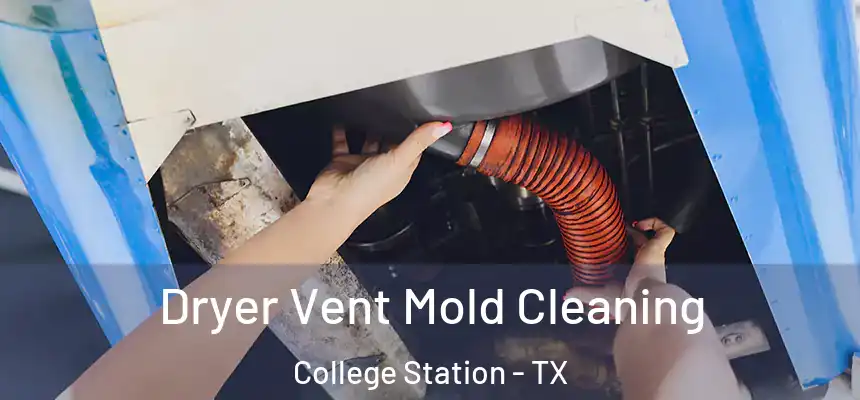 Dryer Vent Mold Cleaning College Station - TX