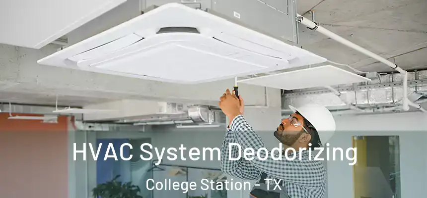 HVAC System Deodorizing College Station - TX