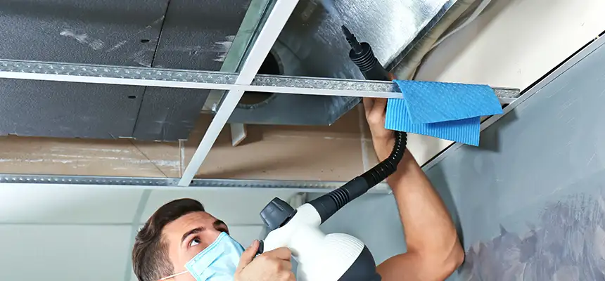 Our Air Duct Rodent Removal Services in College Station, TX