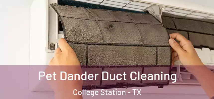 Pet Dander Duct Cleaning College Station - TX