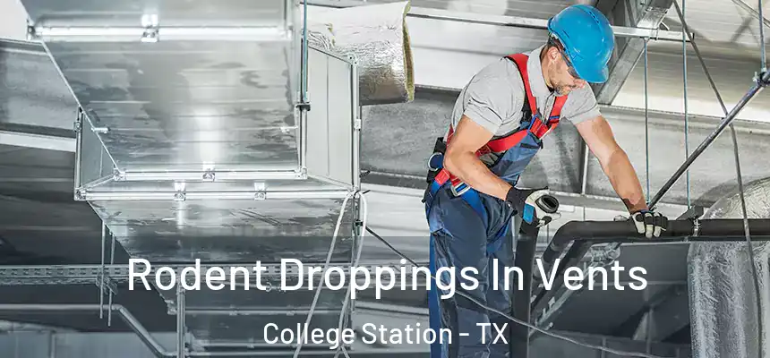 Rodent Droppings In Vents College Station - TX