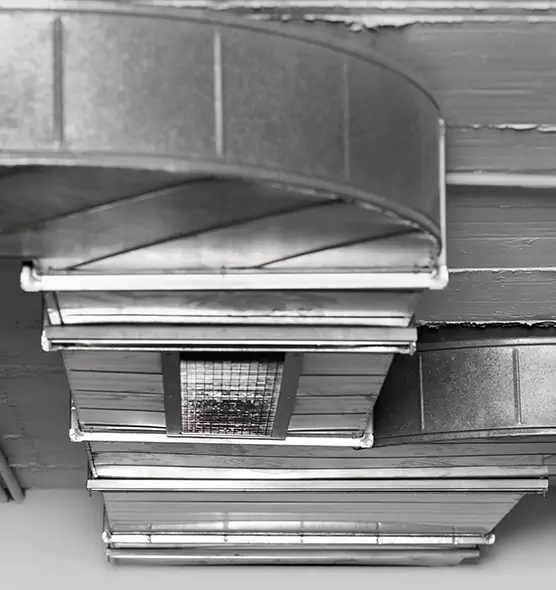 Professional Air Duct Pet Hair Removal in College Station, TX