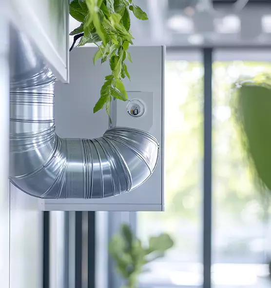 Professional Eco-Friendly Duct Cleaning Services in College Station, TX