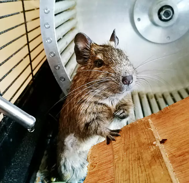 Why Homeowners & Businesses Trust Us College Station, TX