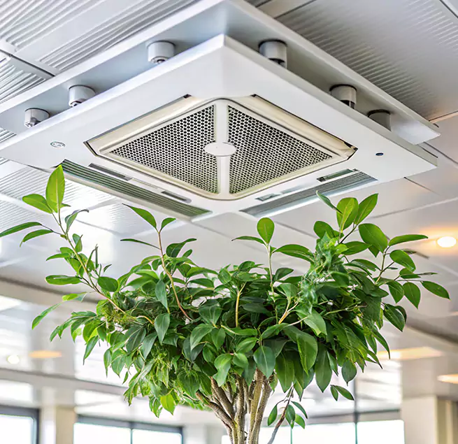 Why Homeowners & Businesses Trust Us in College Station, TX